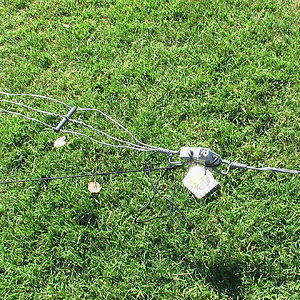 FIELD+DAY+VICTORS+PHOTOS+2010+184.jpg